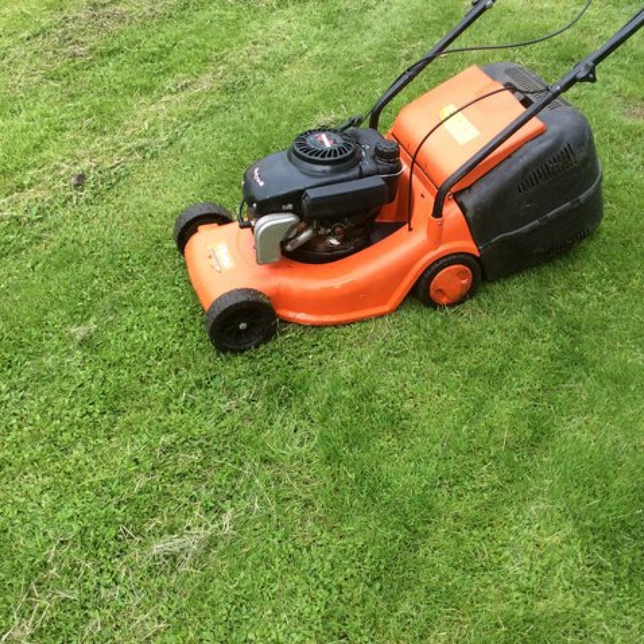 Petrol self propelled lawnmower