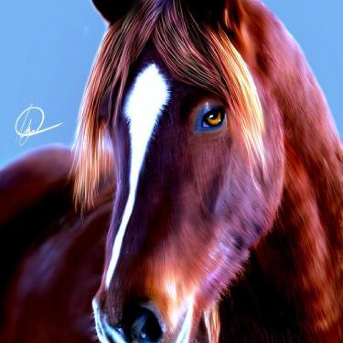 Professionally edited photos