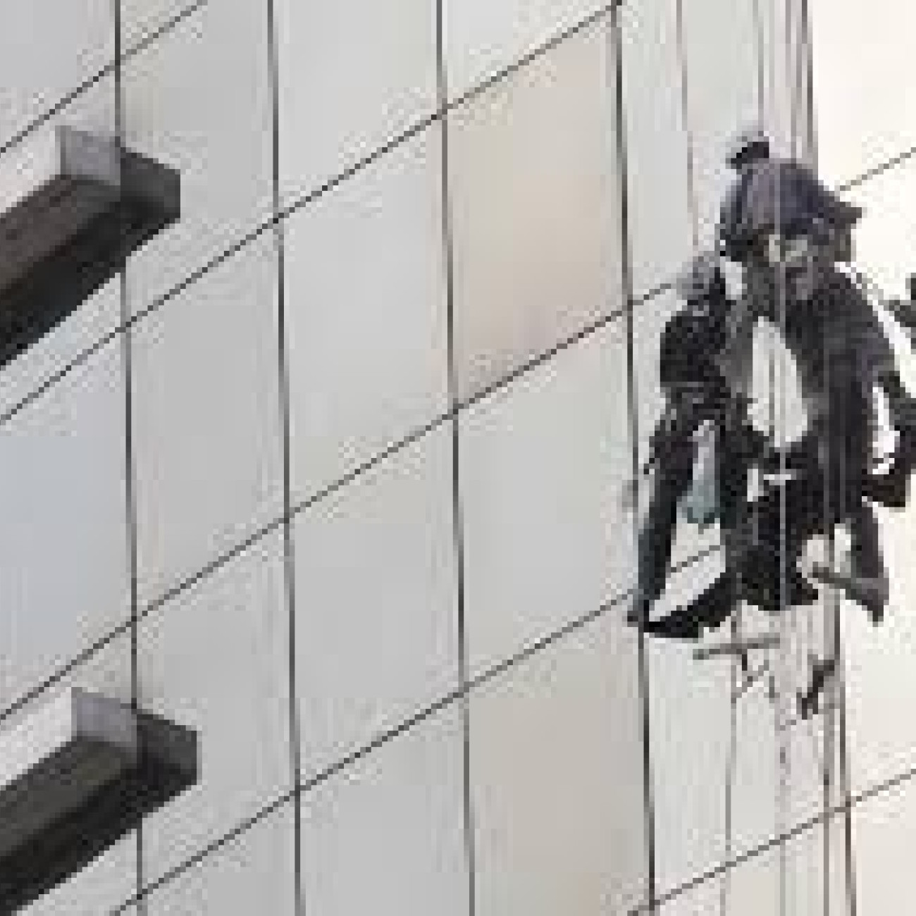 Only Professionals Window cleaners London