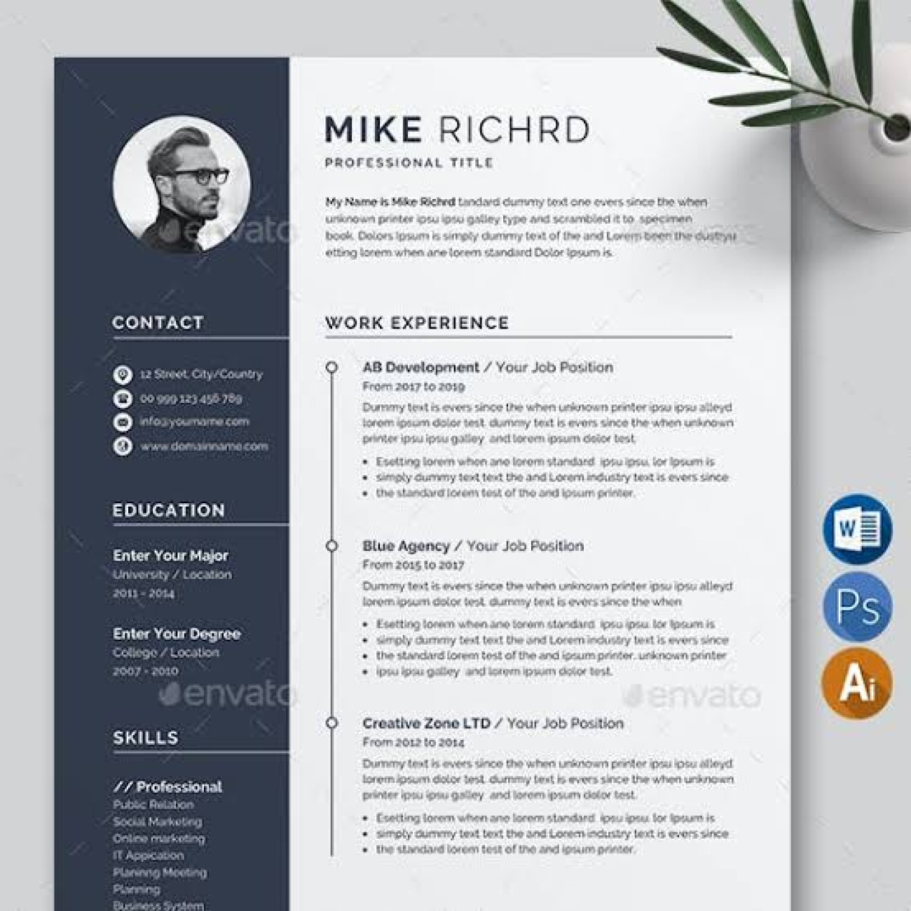 CV WRITER