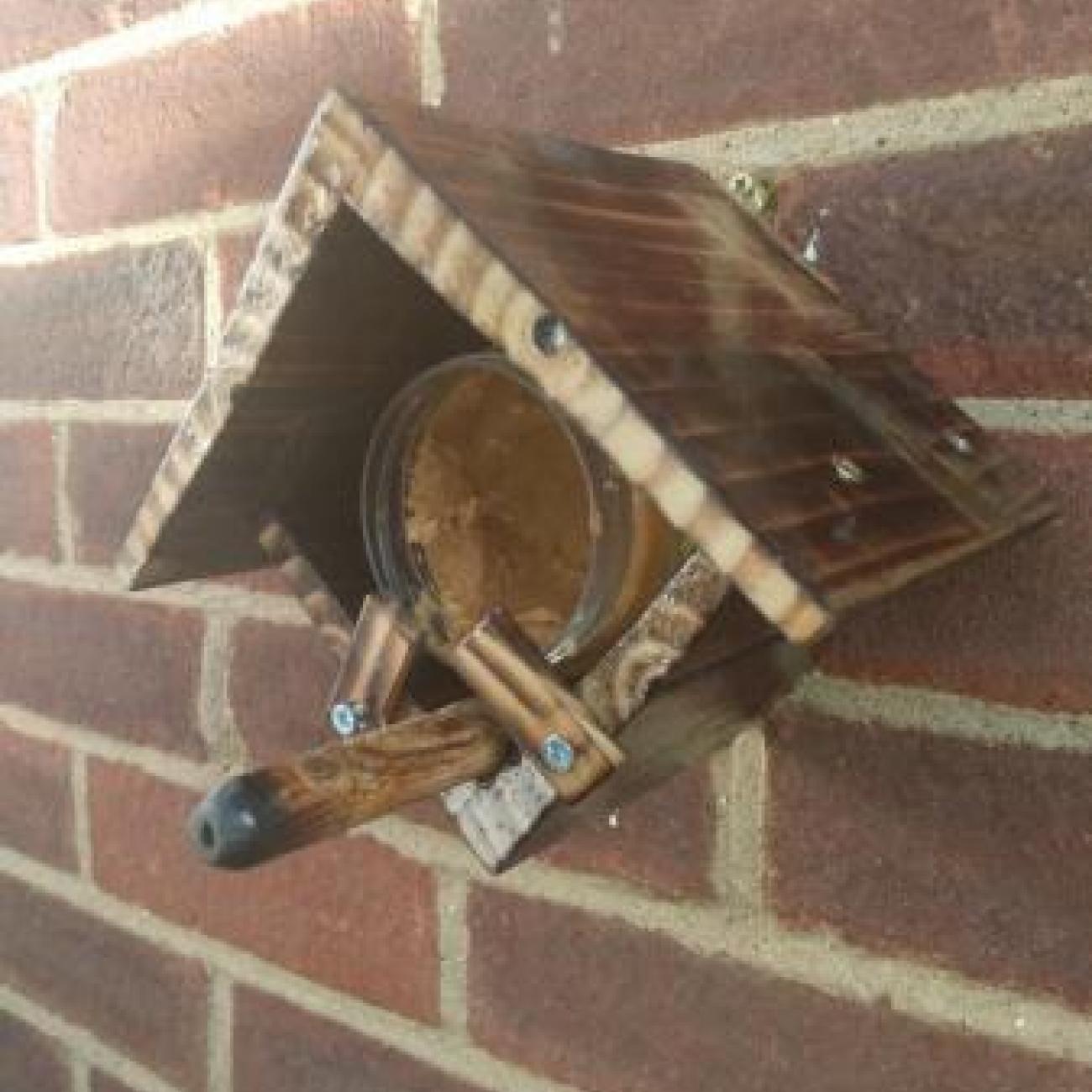 Wall mounted Peanut butter feeder for wild birds c/w perch,