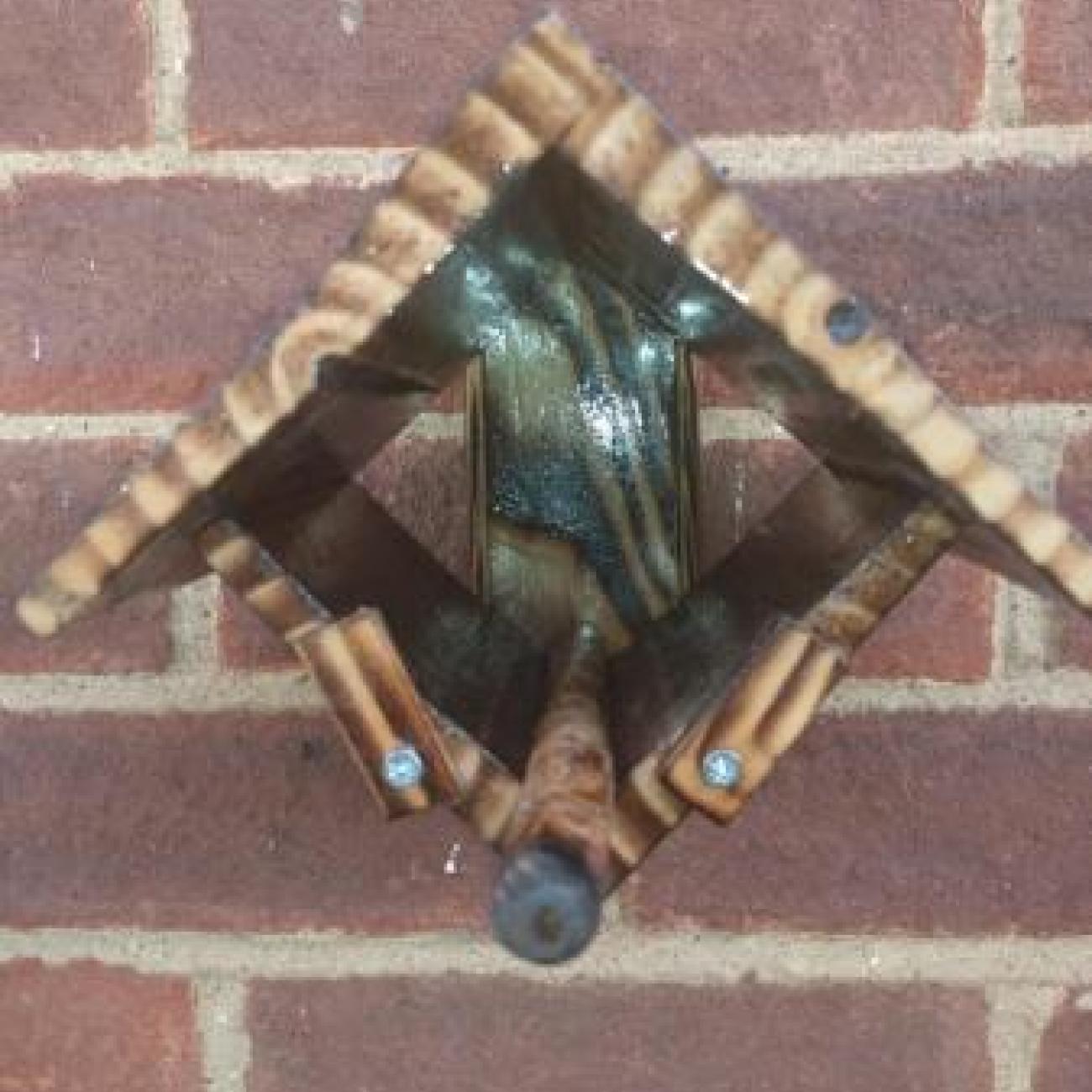 Wall mounted Peanut butter feeder for wild birds c/w perch,
