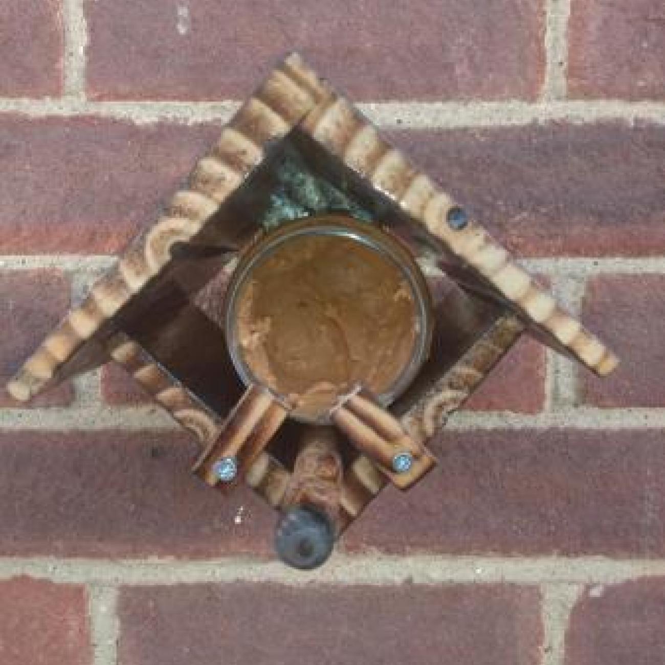 Wall mounted Peanut butter feeder for wild birds c/w perch,
