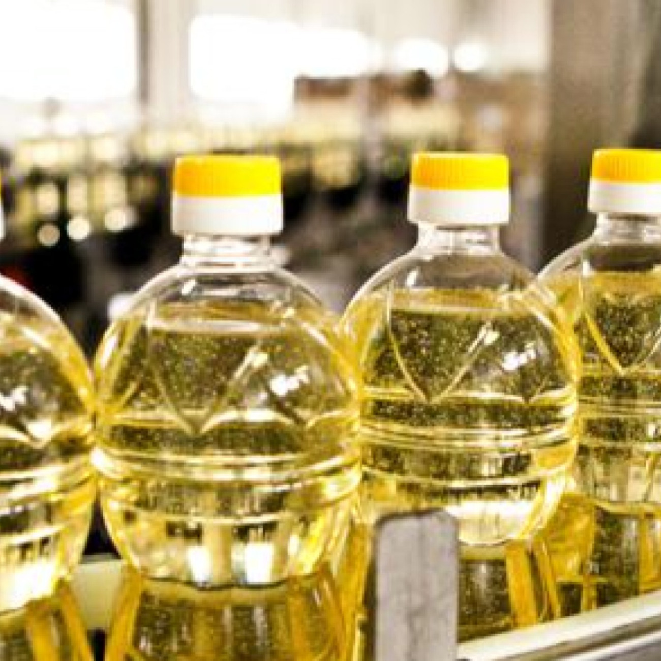 Exporters of Sunflower oil, Canola Oil, Soybean oil and more