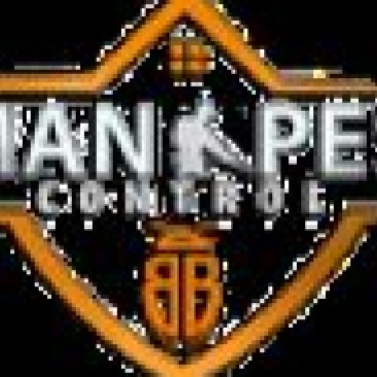Aman Pest Control