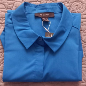 Blue Blouse