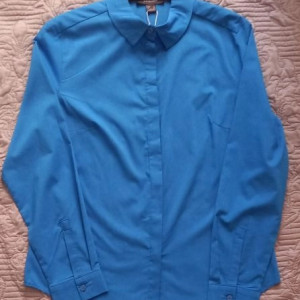 Blue Blouse