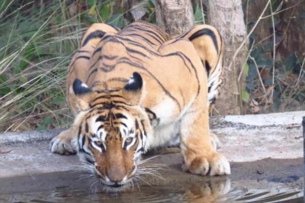 Nowtrade Free Classified Ads