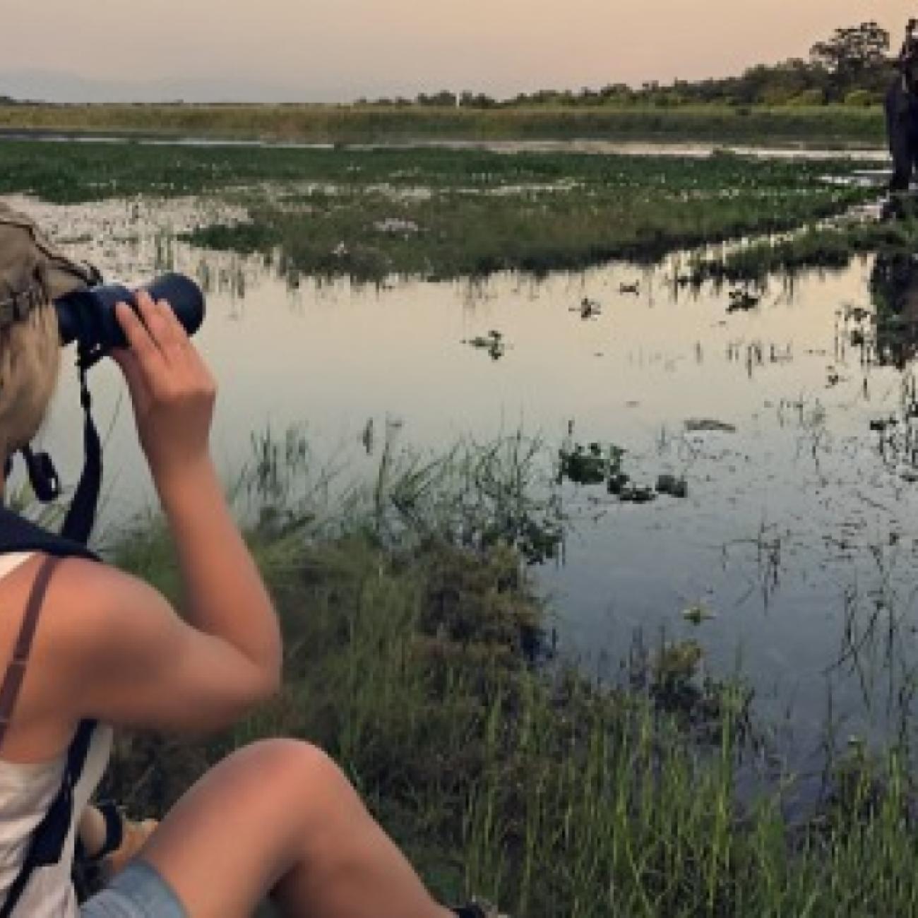 Wildlife Tours in India
