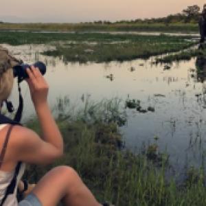 Wildlife Tours in India