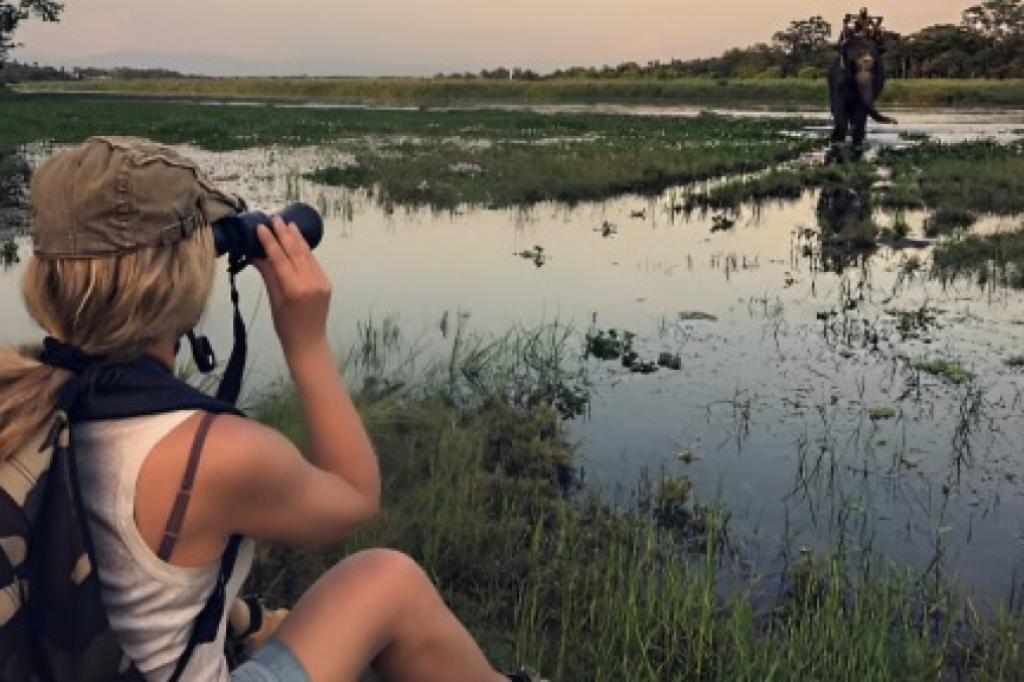 Nowtrade Free Classified Ads