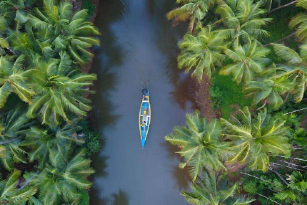 Nowtrade Free Classified Ads