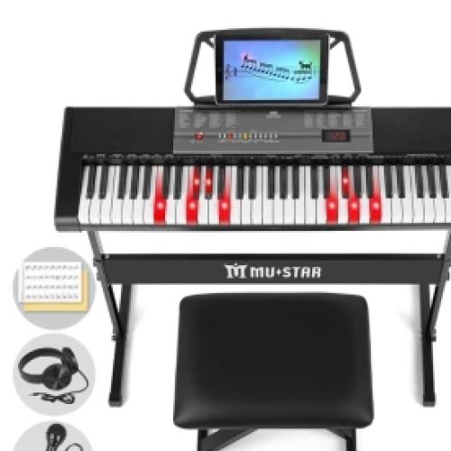 BRAND NEW ADULT SIZE ORGAN