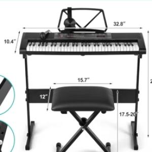 BRAND NEW ADULT SIZE ORGAN