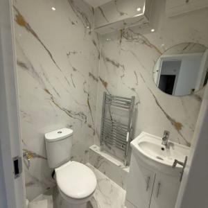 New HMO property in Sussex. 28 Studios split into 6 flats with 6 communal Kitchens