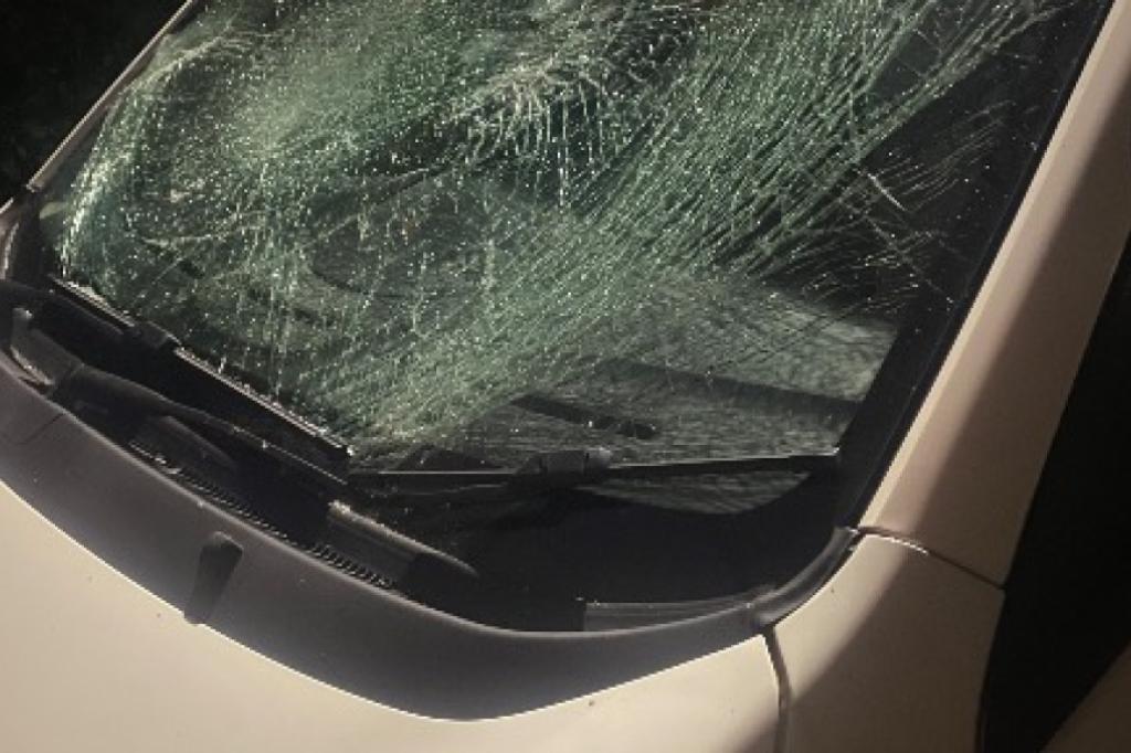 Nowtrade Free Classified Ads