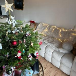 Cosy flat near by station