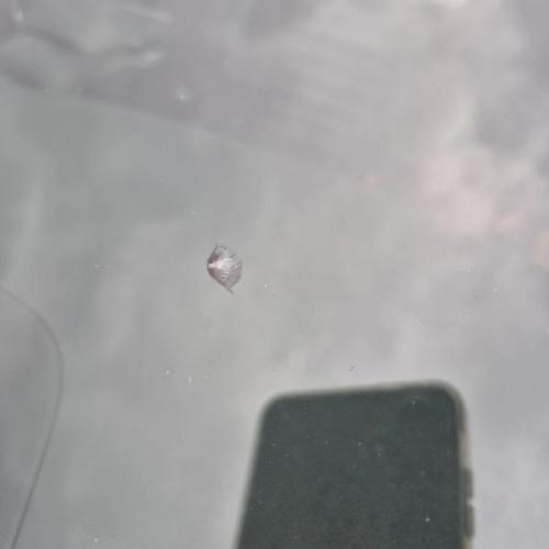 We looked everywhere