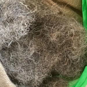 Horsehair and mixed animal hair for upholstery