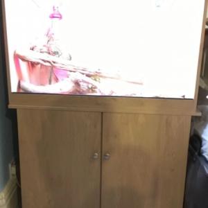 Reptile vivarium with matching cabinet and accessories