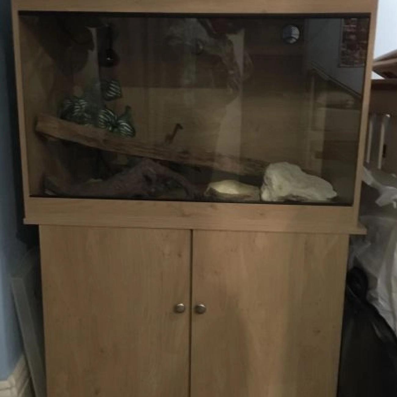 Reptile vivarium with matching cabinet and accessories