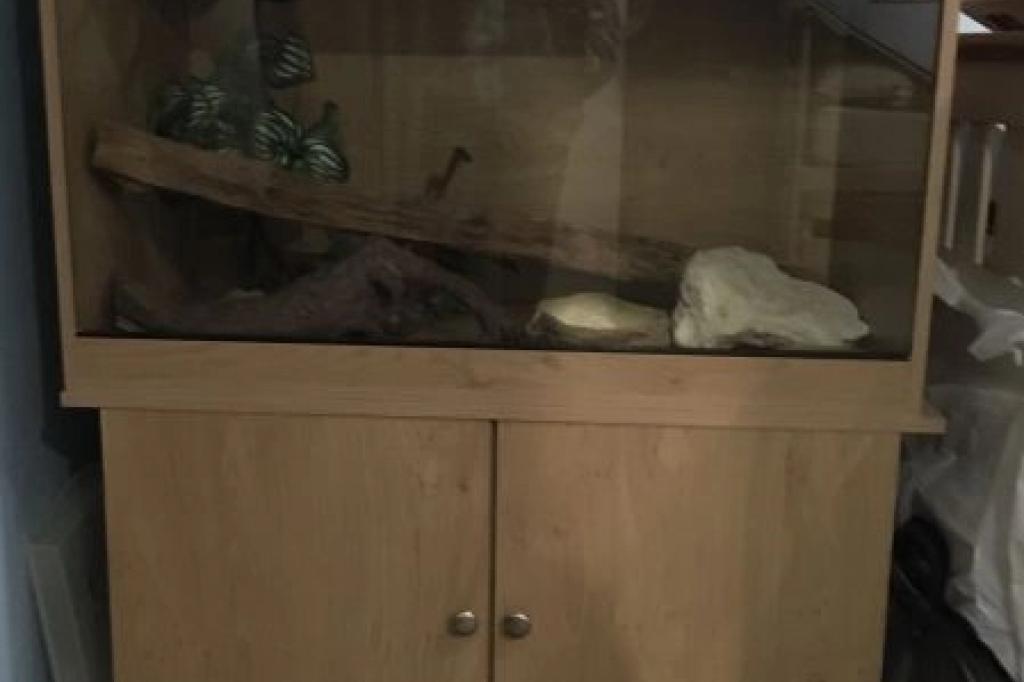 Reptile vivarium with matching cabinet and accessories
