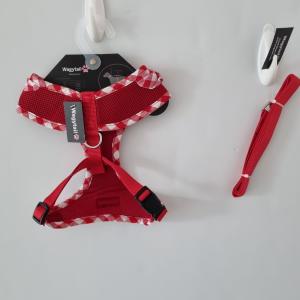 Wagytail Large Harness & Matching Lead