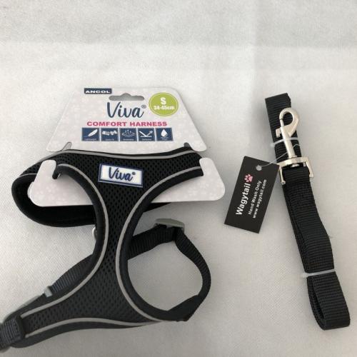 Ancol Small Comfort Harness & Wagytail Lead