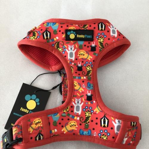 Funky Paws Harness & Matching Extendable Lead