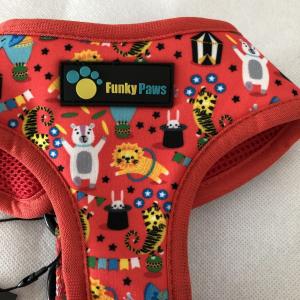 Funky Paws Harness & Matching Extendable Lead