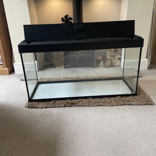 Bird cage and accessories