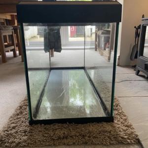 Bird cage and accessories