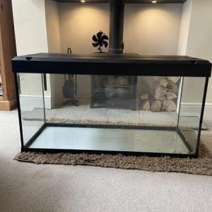 Bird cage and accessories