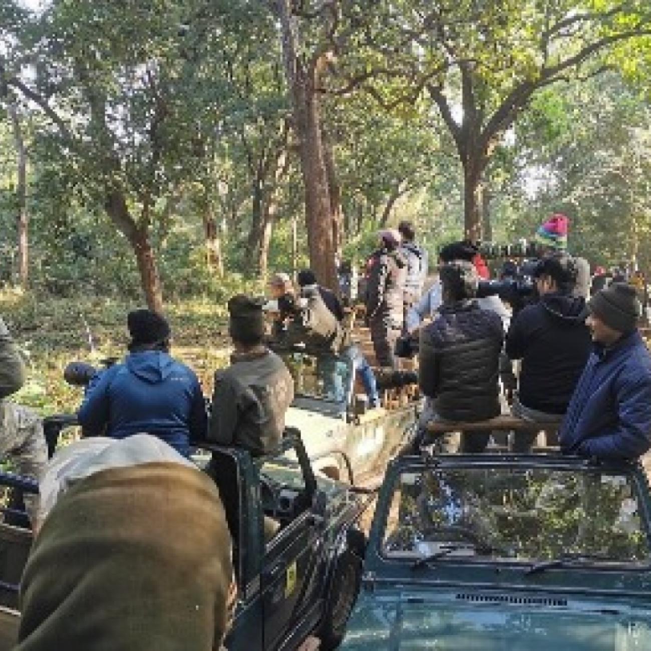Luxury Tiger Safari in India