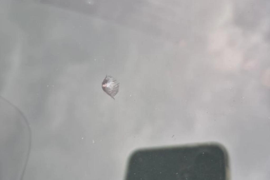 Nowtrade Free Classified Ads