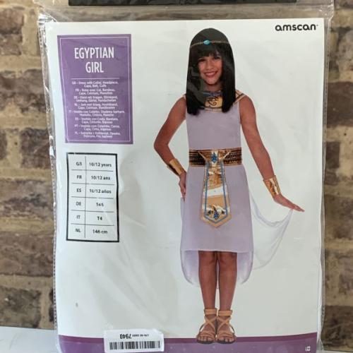 Fancy Dress Egyptian Girl Party Costume