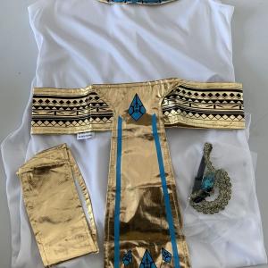 Fancy Dress Egyptian Girl Party Costume