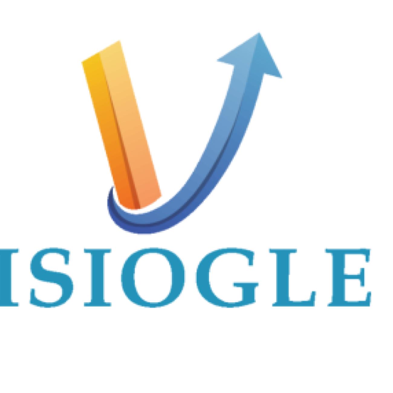 Why Visiogle Is Trusted as the Best Local SEO Agency