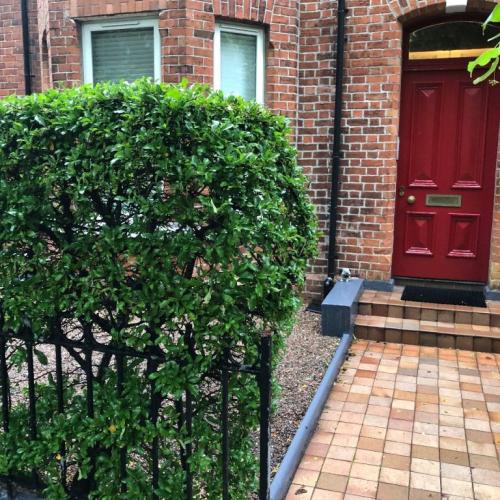 2 Bed Apartment For Rent Eglantine Avenue, South Belfast