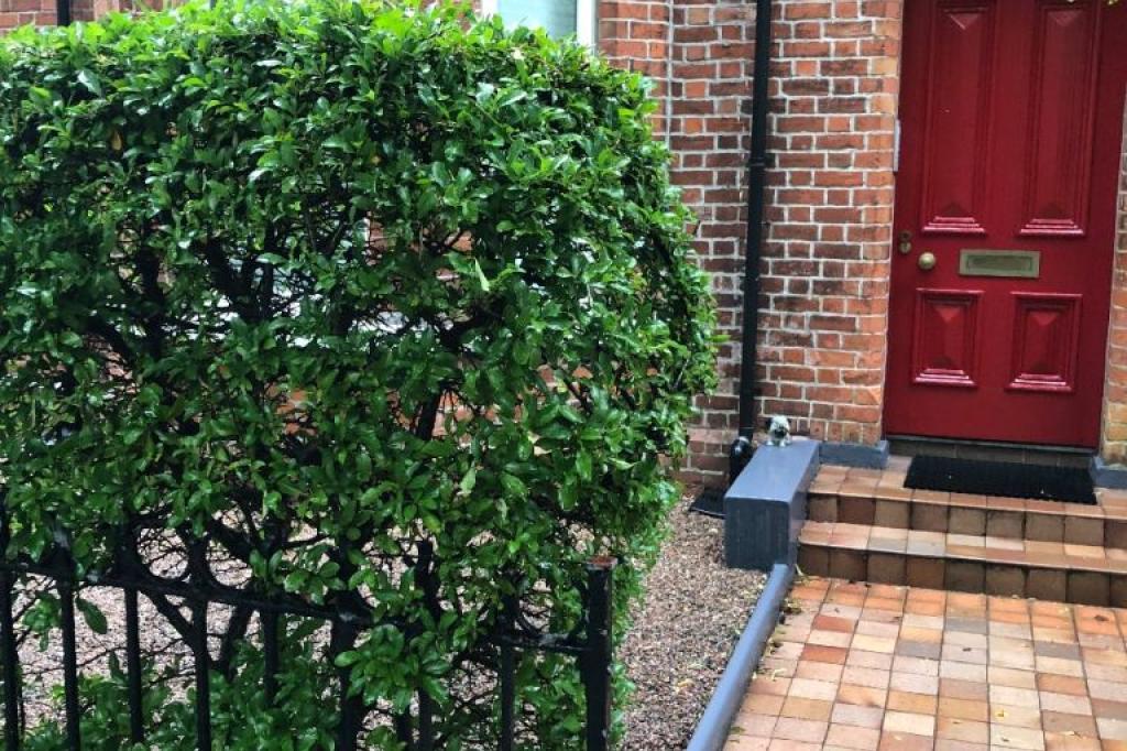 Nowtrade Free Classified Ads