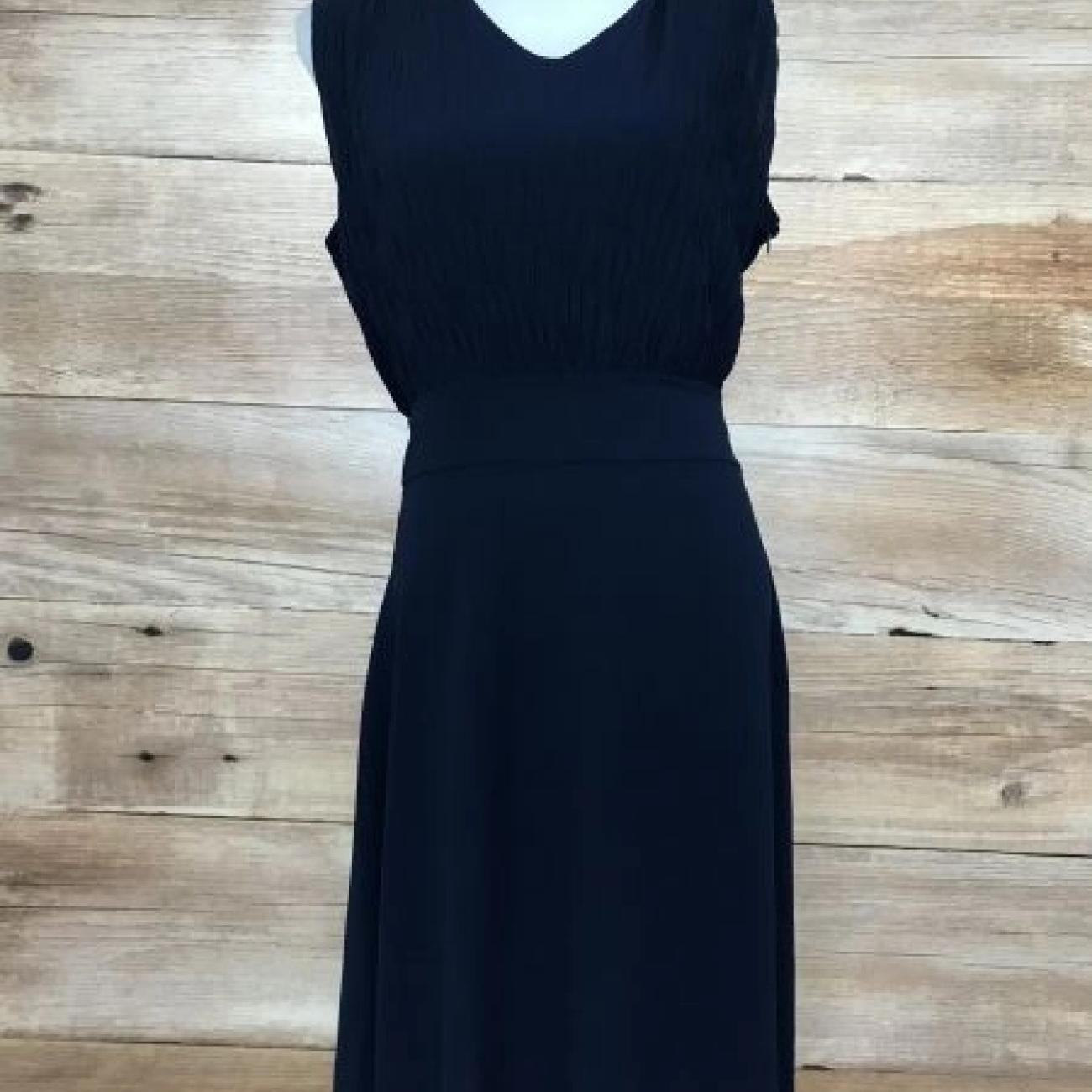 James Lakeland Navy Chiffon Dress