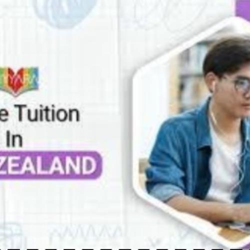 Best Online Tutors in NZ by Ziyyara | 10× Better Results for Students
