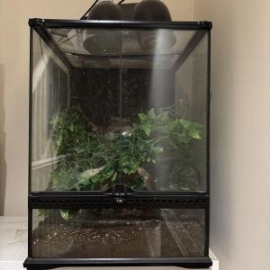 Bird cage and accessories