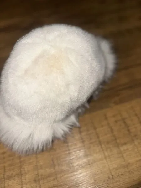 Cream Faux Fur Bucket Hat — Soft Fluffy Winter Hat