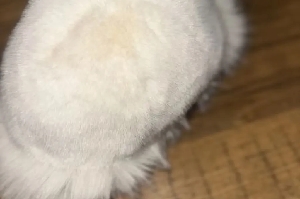 Cream Faux Fur Bucket Hat — Soft Fluffy Winter Hat
