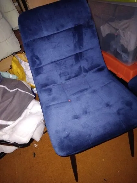 Pair of dark blue velvet chairs BRAND NEW