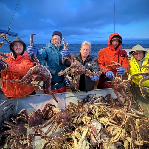 Live and Frozen King Crab for sale, Live/Frozen, RED King Crab, Alaskan King Crabs
