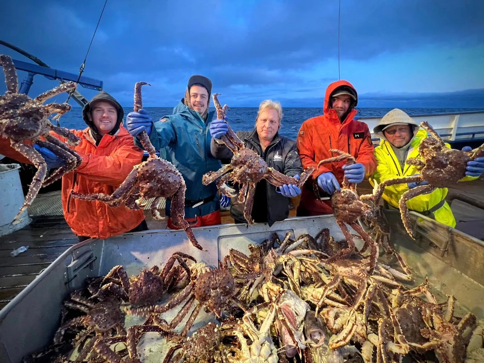 Live and Frozen King Crab for sale, Live/Frozen, RED King Crab, Alaskan King Crabs