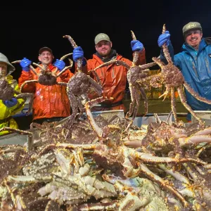 Live and Frozen King Crab for sale, Live/Frozen, RED King Crab, Alaskan King Crabs