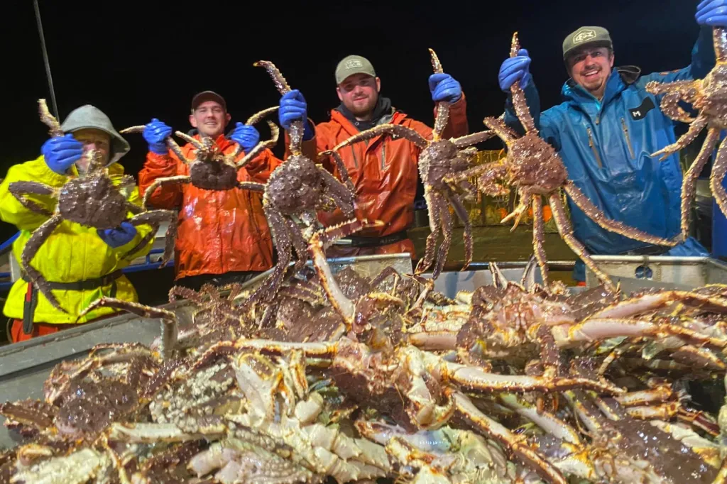 Live and Frozen King Crab for sale, Live/Frozen, RED King Crab, Alaskan King Crabs